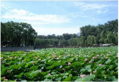 2016北京玩博會(huì)，7月14日歡聚全國(guó)農(nóng)業(yè)展覽館新館